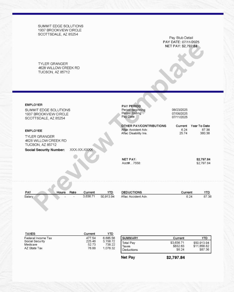 Srs Financials Paystubs Paystubs And Checkstub Template 1